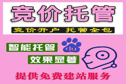 成功托管SEM竞价策略揭秘