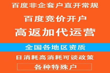 百度推广公司案例解析：如何利用百度推广实现快速转化
